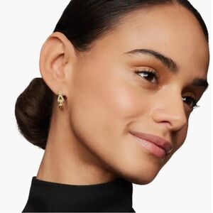 David Yurman Thoroughbred Loop Hoop Earrings with Pavé Diamonds